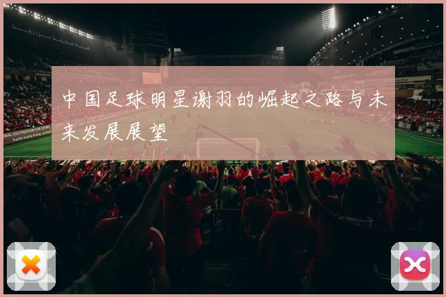 中国足球明星谢羽的崛起之路与未来发展展望