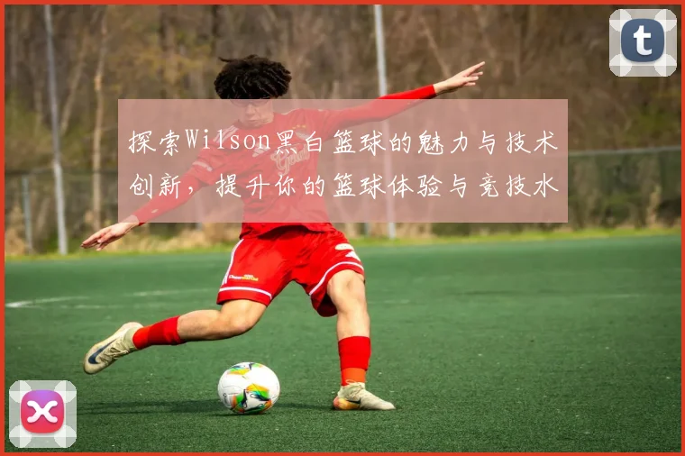 探索Wilson黑白篮球的魅力与技术创新，提升你的篮球体验与竞技水平