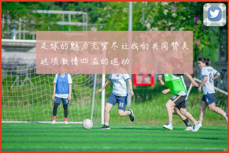 足球的魅力无穷尽让我们共同赞美这项激情四溢的运动